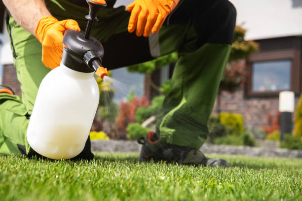 Wasp Removal Services in Seminole, TX