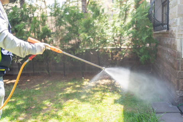 Best Insect Control  in Seminole, TX